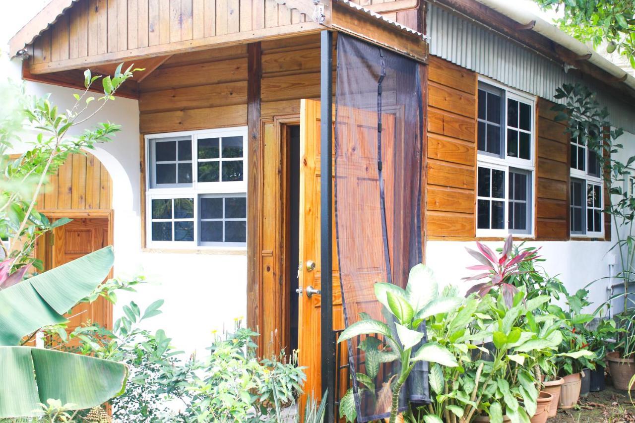 Van Villa Guesthouse Negril Dış mekan fotoğraf