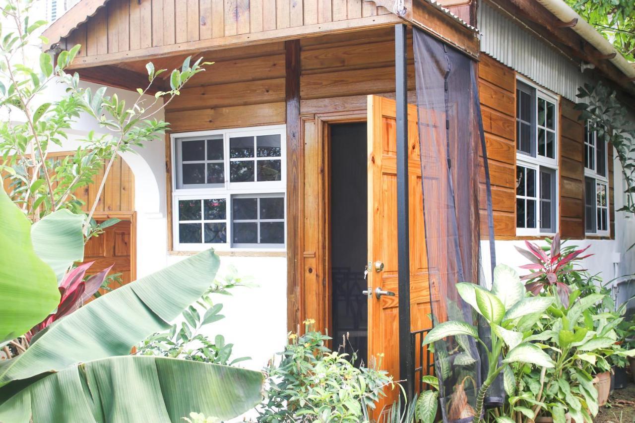 Van Villa Guesthouse Negril Dış mekan fotoğraf