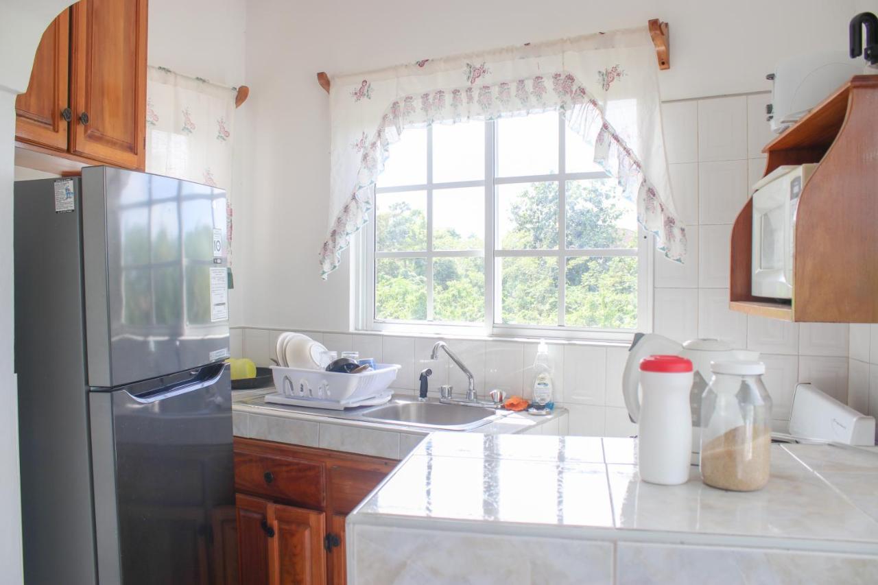 Van Villa Guesthouse Negril Dış mekan fotoğraf